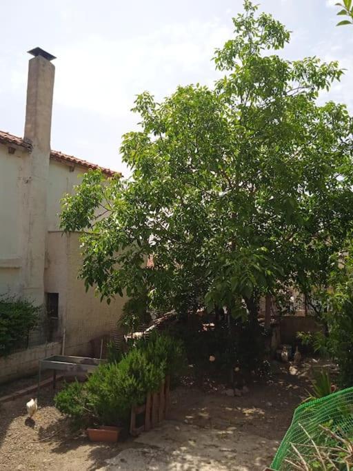 Το Μικρό Σπίτι Στη Φάρμα! Apartment Acharnes Exterior photo